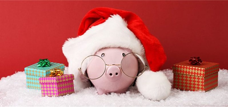 Skip A Payment Piggy bank in Santa hat